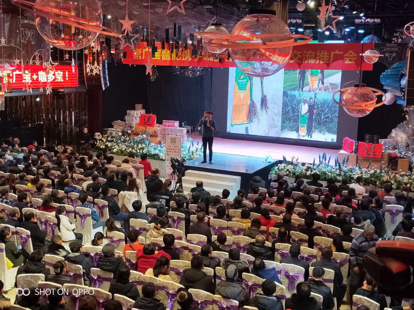 微信图片_201812131852373.jpg 微信图片_201812131852373.jpg