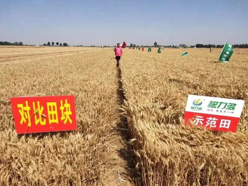 微信图片_20190611104608.jpg 微信图片_20190611104608.jpg