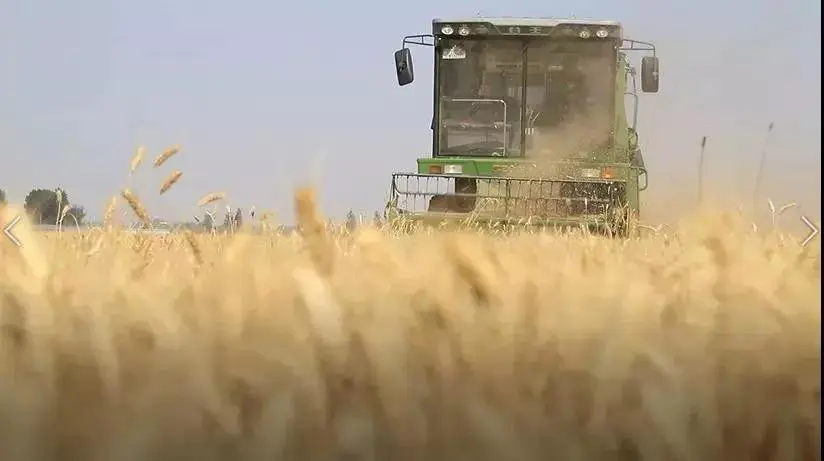 微信图片_20190611104629.jpg 微信图片_20190611104629.jpg