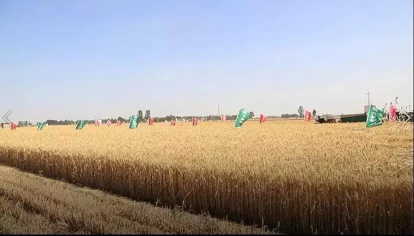 微信图片_20190611104636.jpg 微信图片_20190611104636.jpg