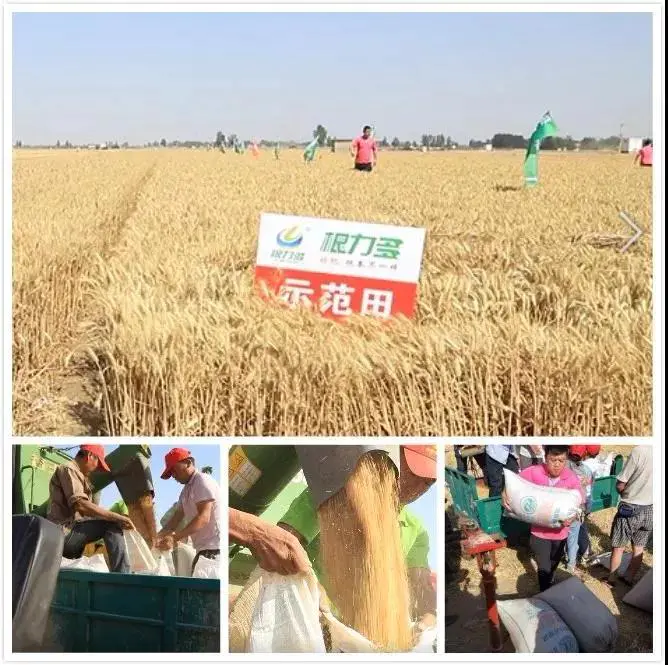 微信图片_20190611104642.jpg 微信图片_20190611104642.jpg