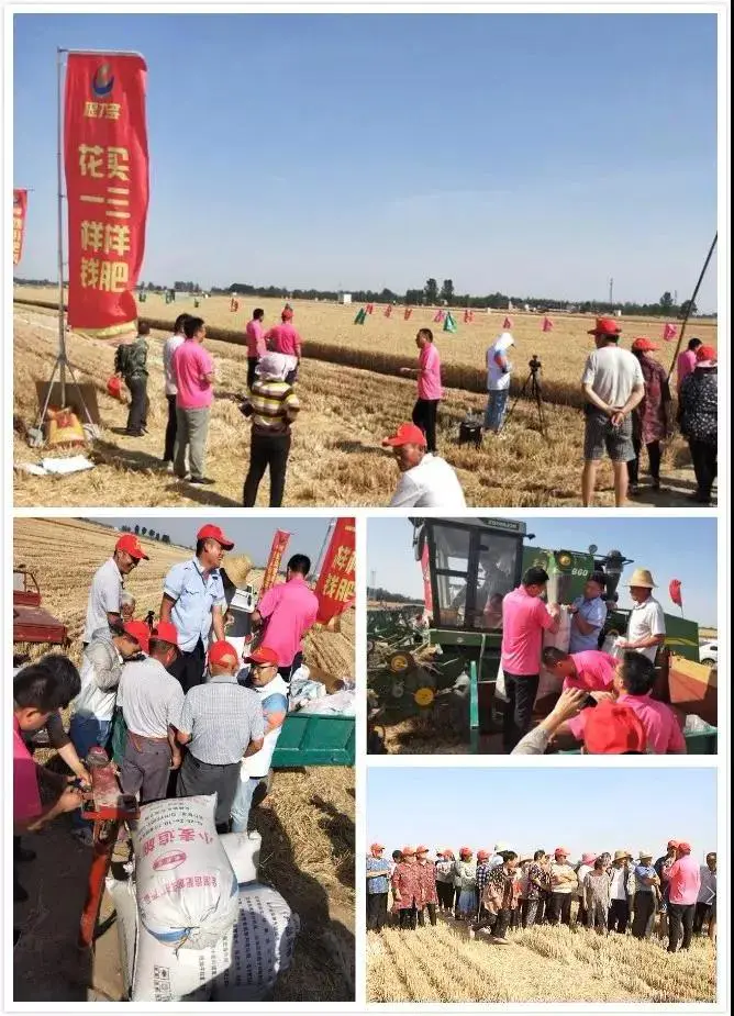 微信图片_20190611104703.jpg 微信图片_20190611104703.jpg