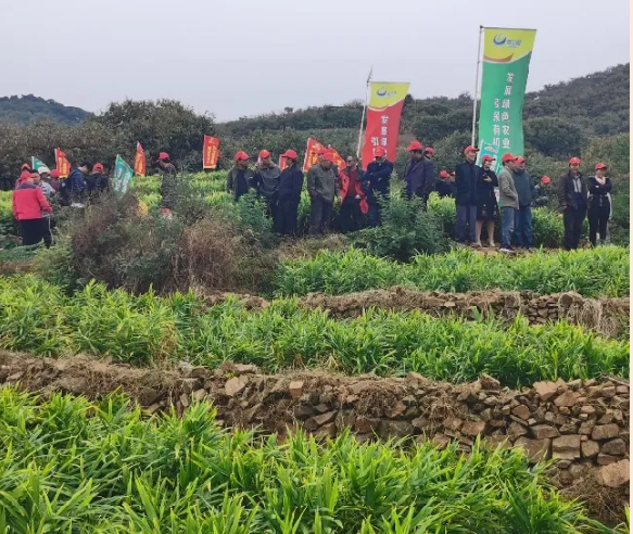 微信图片_202010160902579.png