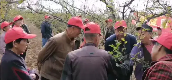 微信图片_202010191149471.png 微信图片_202010191149471.png