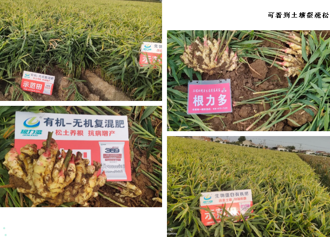 微信图片_202010191155361.png