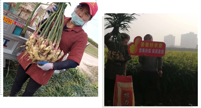 微信图片_202010191155362.png