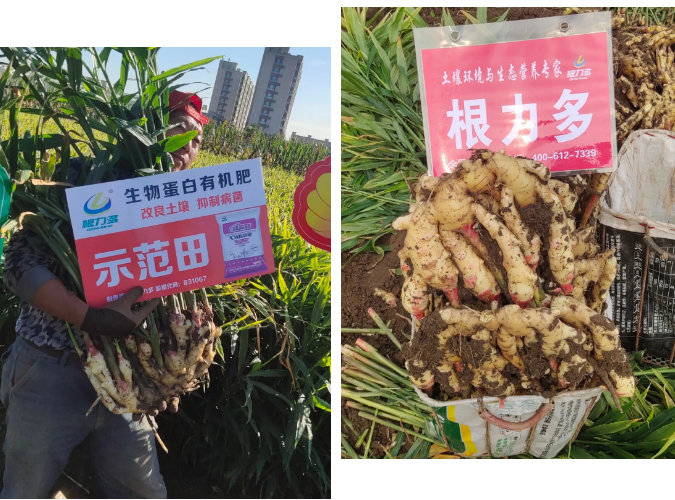 微信图片_202010191155363.png