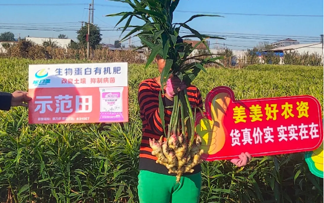 微信图片_202010191155364.png
