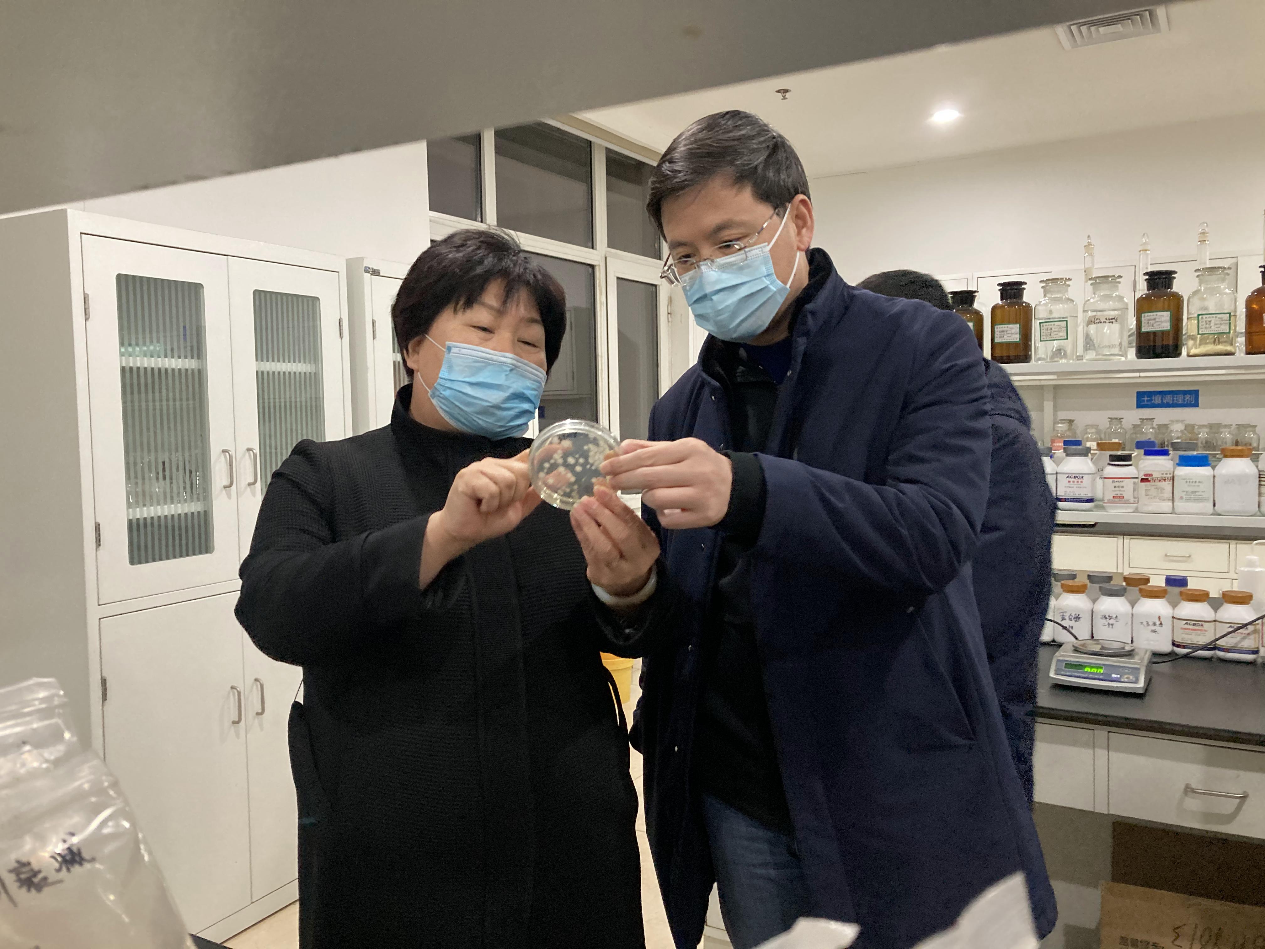 1月20日下午,威县县委副书记,县长崔耀鹏,政府办主任刘汝恒,发改委