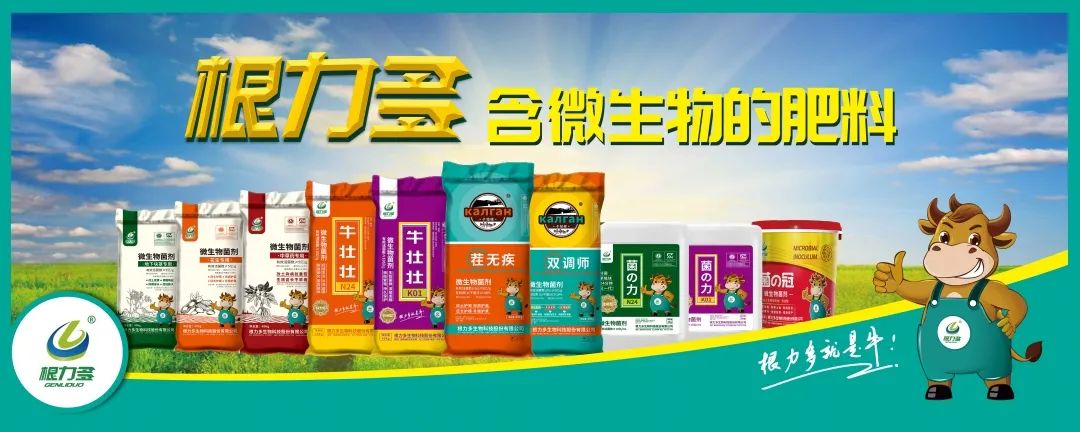 肥料价格持续上涨,根力多"两大三专"成为一股清流 持续走红